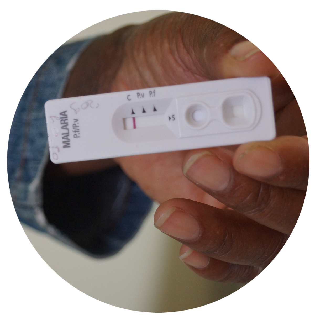 Malaria Testing